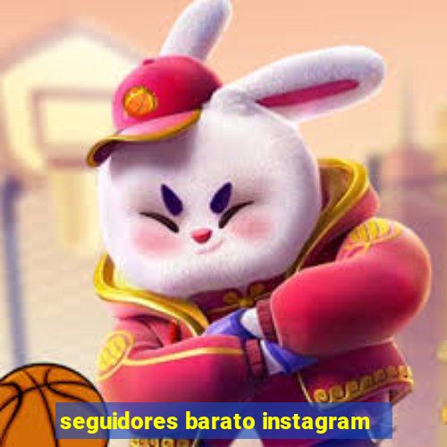 seguidores barato instagram